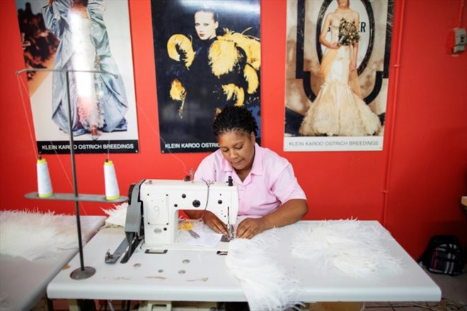 Une couturière de l'entreprise Cape Karoo travaille sur des plumes d'autruche, le 13 février 2024 à Oudtshoorn, en Afrique du Sud