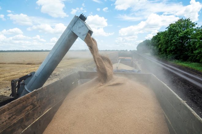 La moisson dans la région de Kharkiv, nord-est de l'Ukraine, le 19 février 2022
