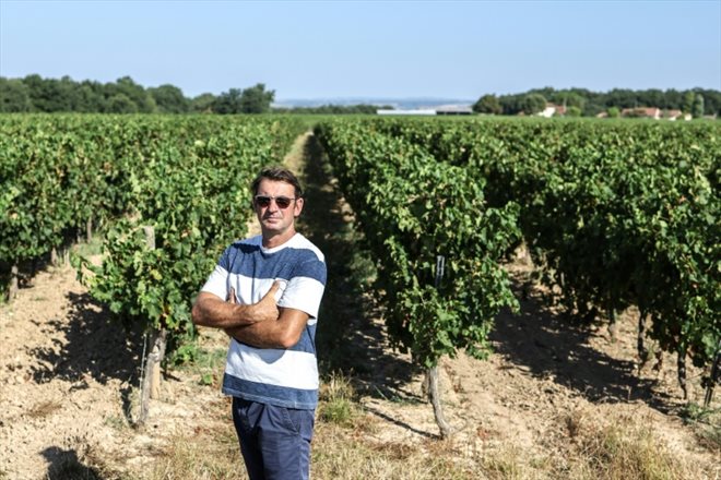 Le viticulteur Pascal Pelissou devant ses vignes touchées par le mildiou, le 21 août 2023 dans le Tarn