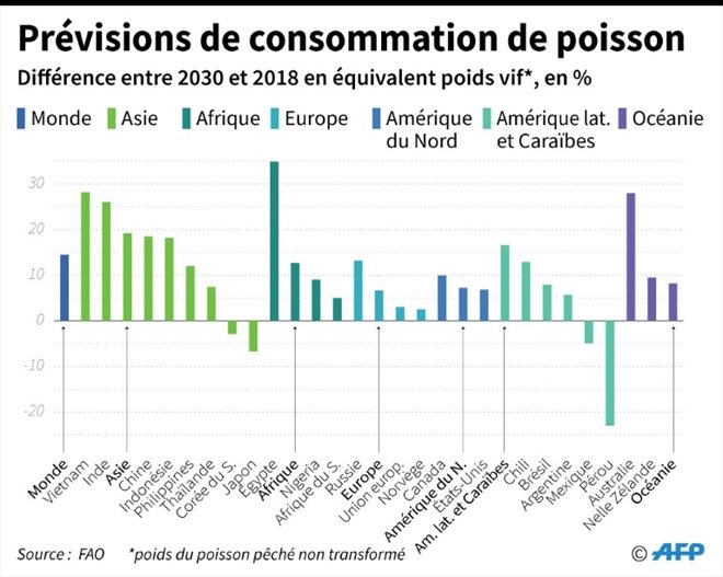 Allons-nous vers une pénurie mondiale de poisson ? - Mer & Océan