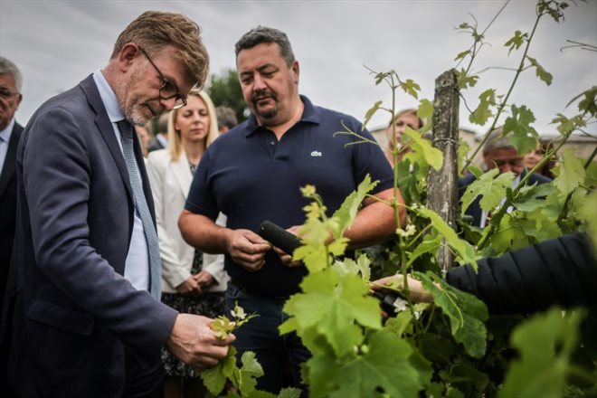 Le ministre de l'Agriculture Marc Fesneau (gauche) s'entretient avec le viticulteur Régis Falxa en visitant le domaine Château Lalande-Labatut, le 5 juin 2023 à Salleboeuf en Gironde