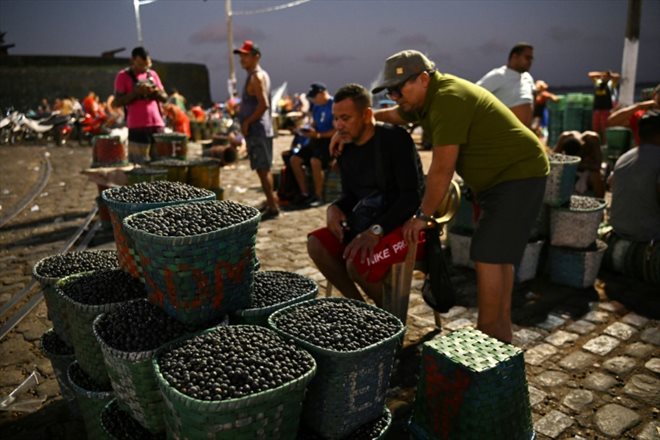 Des paniers remplis d'açai sur un marché à Belem, au Brésil, le 4 août 2023 