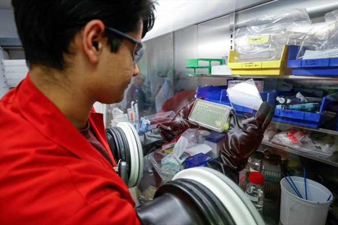 Un employé de l'entreprise LanzaTech travaille sur des bactéries capables de transformer des gaz comme le CO2 en produits chimiques pouvant être réutilisés, à Skokie le 28 novembre 2022