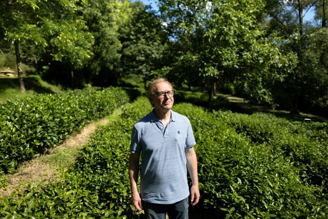 Le propriétaire de la plantation de thé Filleule des fées, Denis Mazerolle, pose à Languidic, dans l'ouest de la France, le 9 août 2023