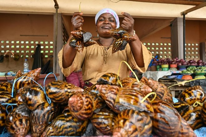 Une vendeuse d'escargots sur un marché à Azaguié, en Côte d'Ivoire, le 23 novembre 2023