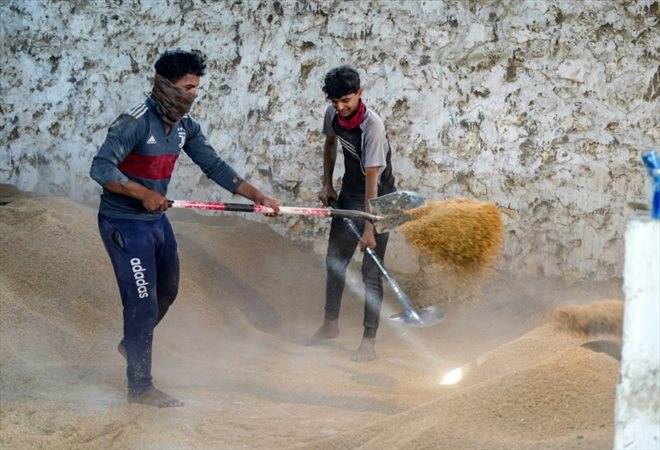 Des ouvriers pelletant dans une rizerie à Najaf, dans le centre de l'Irak, le 1er mai 2022