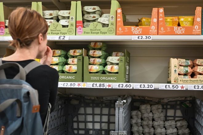 Une cliente regarde le prix des oeufs dans un supermarché à Aylesbury, le 15 août 2023 au Royaume-Uni