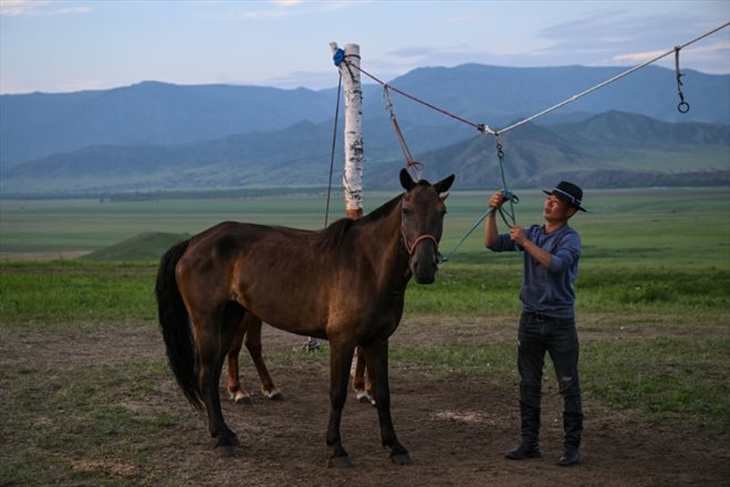 L'éleveur mongol  Gan-Erdene Ganbat à Khutag-Undur, province de Bulgan dans le nord de la Mongolie, le 2 juillet 2024