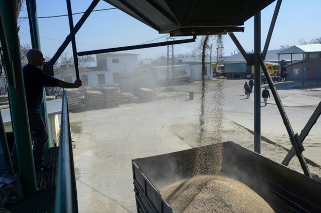 Chargement de blé dans le port ukrainien d'Izmaïl, le 24 mars 2022