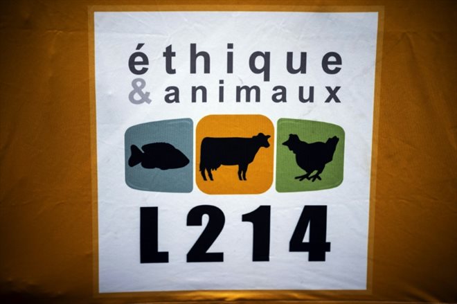 Une enquête judiciaire sera ouverte contre l'abattoir municipal de Craon, en Mayenne, après une plainte de l'association L214 dénonçant des animaux encore vivants au moment de leur découpe