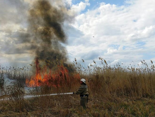 Des pompiers luttant contre un feu dans un champ de céréales déclenché par un bombardement dans la région de Kherson, dans le sud de l'Ukraine, le 18 juillet 2022