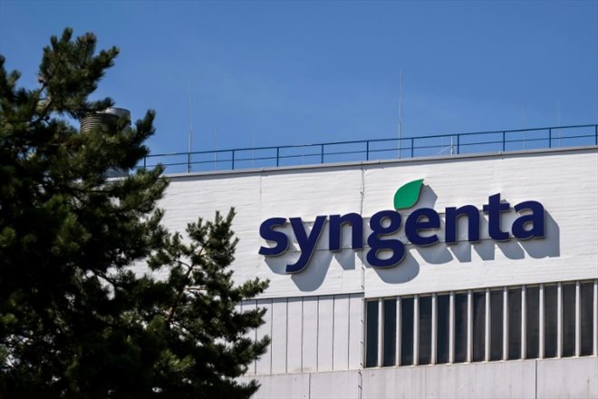 L'entreprise Traive a pour clients des géants de l'agro-alimentaire comme Syngenta, des fintechs et la deuxième banque d'Amérique Latine, Banco do Brasil