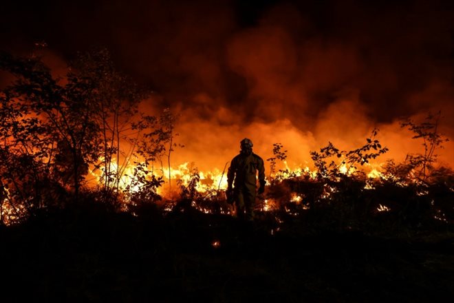 Des pompiers luttent contre un feu de forêt en Gironde, dans le sud-ouest de la France, le 17 juillet 2022