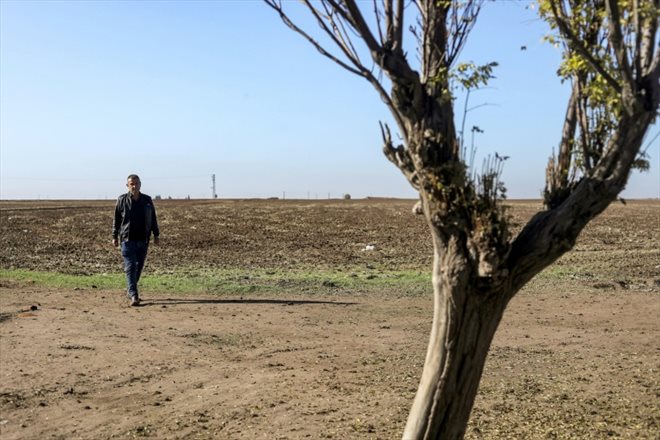 L'agrilteur Farouk Mohamed dans ses champs dans la région de Qamichli, le 14 décembre 2023 dans le nord-est de la Syrie