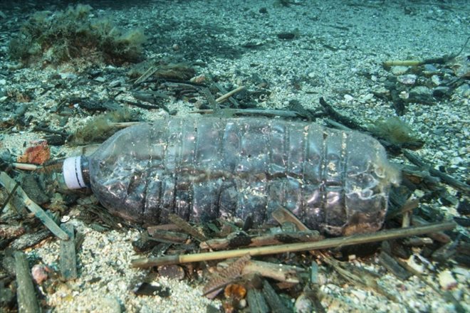 Une bouteille en plastique dans les eaux du parc naturel de Port-Cros, dans le Var, le 1er mai 2017 