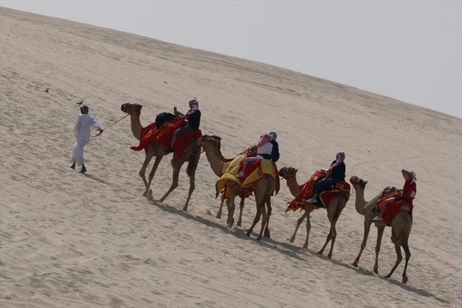 Balade à dos de chameau dans les dunes d'Al Wakrah, au sud de Doha, le 12 décembre 2022