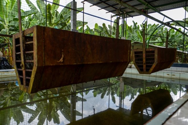 La production est à l'arrêt dans la bananeraie d'El Triunfo, en Equateur, le 31 mars 2022