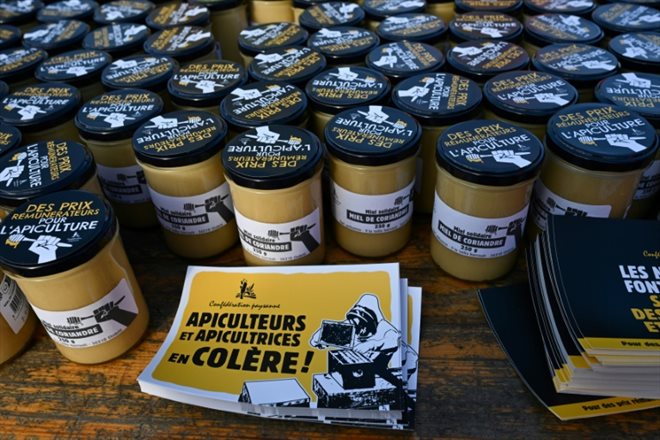 Des pots de miel rassemblés à l'occasion d'une manifestation des apiculteurs français, le 30 novembre 2023 à Paris, qui demandent la fin des importations de miel à bas prix 
