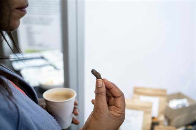 Une cliente goûte des chenilles mopanes séchées, lors d'un salon de l'alimentation dans le quartier d'affaires de Sandton, à Johannesburg, le 27 juin 2022