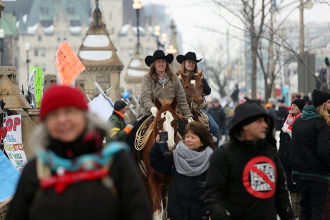 Des manifestants contre les mesures sanitaires à Ottawa, au Canada, le 8 février 2022
