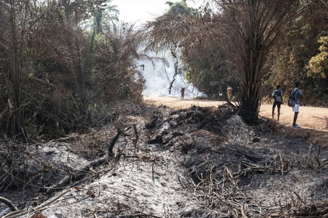 Une parcelle de forêt brûlée à Mbata, dans la région de la Lobaye au sud-ouest de l'Afrique centrale, le 24 janvier 2023