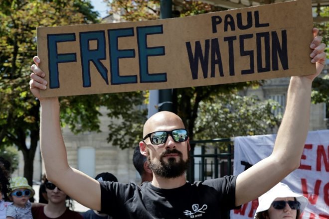 Un homme tient une pancarte Free Paul Watson lors d'une manifestation de soutien à Paul Watson à Paris, le 11 août 2024
