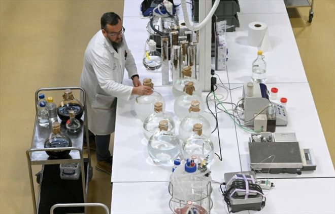 Un employé de Lesaffre, géant mondial de la fermentation, au nouveau campus du groupe inauguré à Marc-en-Baroeul, près de Lille, le 13 octobre 2022 dans le Nord