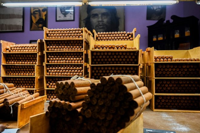 Des caisses de cigares fraîchement roulées dans la fabrique qui produit les prestigieux cigares  Cohiba, à La Havane, le 8 septembre 2022
