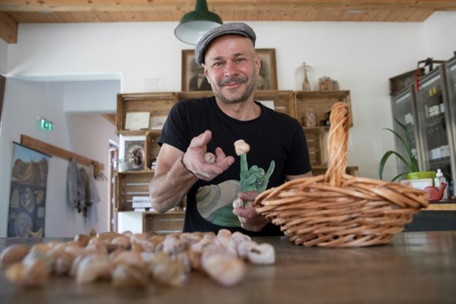 Le fermier Andreas Gugumuck dispose ses escargots dans un panier, le 18 juin 2022 à Vienne, en Autriche