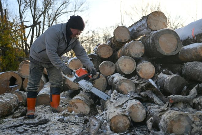 Un employé de l'entreprise de vente de boix de chauffage Glad coupe du bois à Wissembourg, dans le Bas-Rhin, le 15 décembre 2022