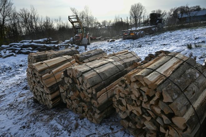 Des stères de bois chez un vendeur de bois à Wissembourg, dans le Bas-Rhin, le 15 décembre 2022