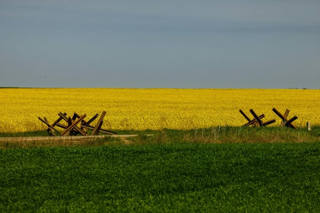 Des obstacles anti-tanks devant un champ de colza dans la région de Zaporijjia en Ukraine le 5 mai 2022