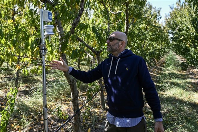 Un technicien contrôle une station météo dans un verger à Platy (Grèce), le 18 octobre 2022