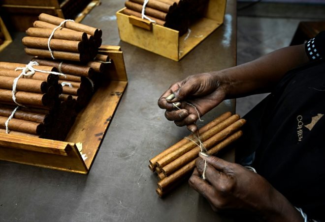Une femme attache des paquets de cigares dans la fabrique qui produit les prestigieux cigares Cohiba, à La Havane, le 8 septembre 2022