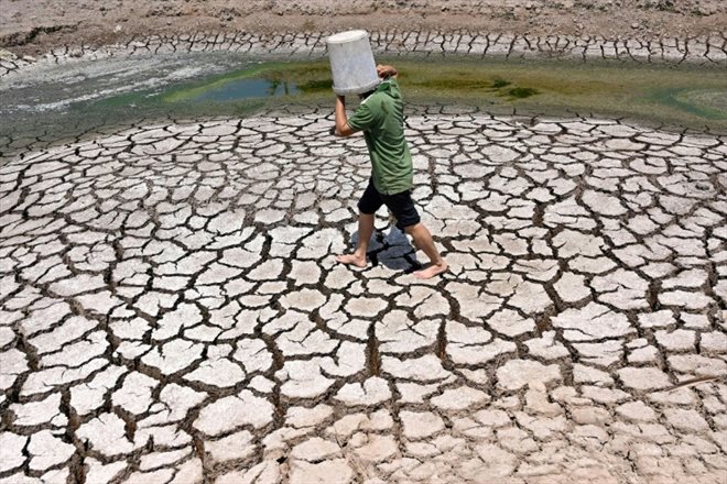 Un homme protège sa tête du soleil avec un seau en plastique, sur le lit craquelé d'un étang asséché dans la province de Ben Tre, le 19 mars 2024 dans le sud du Vietnam

