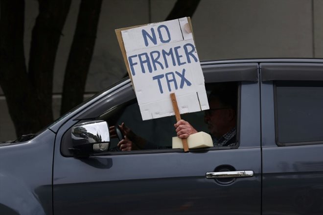 Un manifestant opposé à la taxation des pets de vaches à Wellington, le 20 octobre 2022