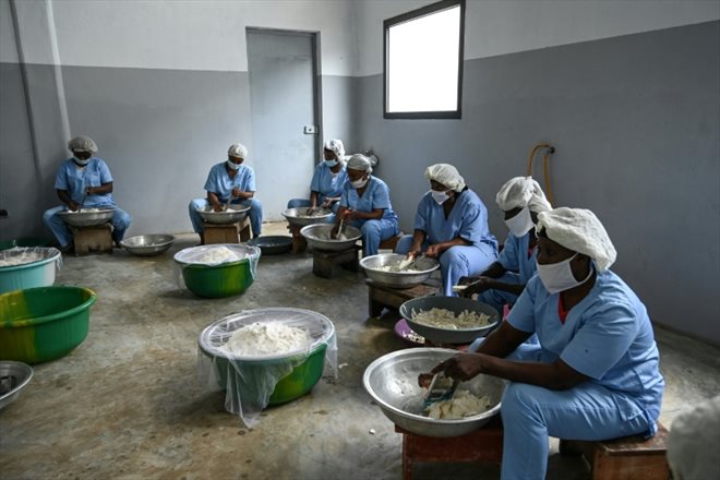 Préparation du manioc avant son mélange avec la farine de blé dans une boulangerie d'Abobo, à Abidjan, le 23 juiin 2022