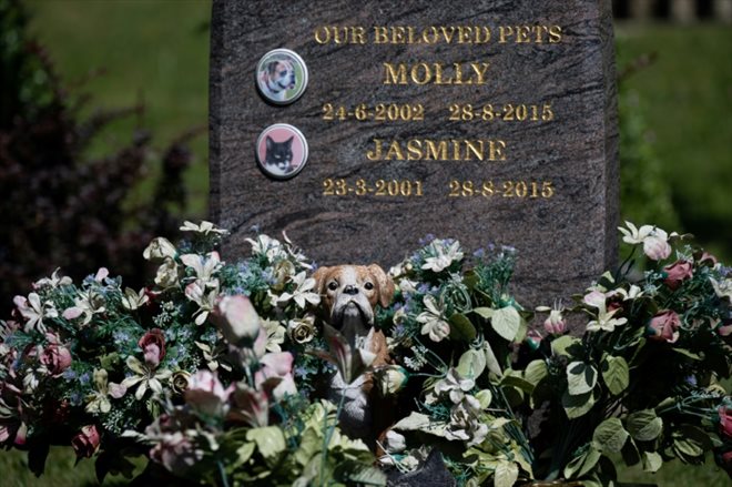 At Pet Cemetery in Holywell in North Wales on August 12, 2022