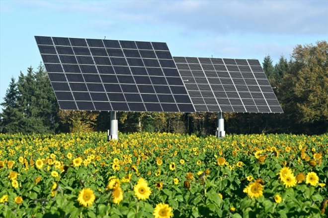 L'Etat est déjà poursuivi pour inaction en faveur des renouvelables par un bureau d'étude spécialisé dans les projets éoliens et photovoltaïques, qui a lancé en février une action devant la même instance