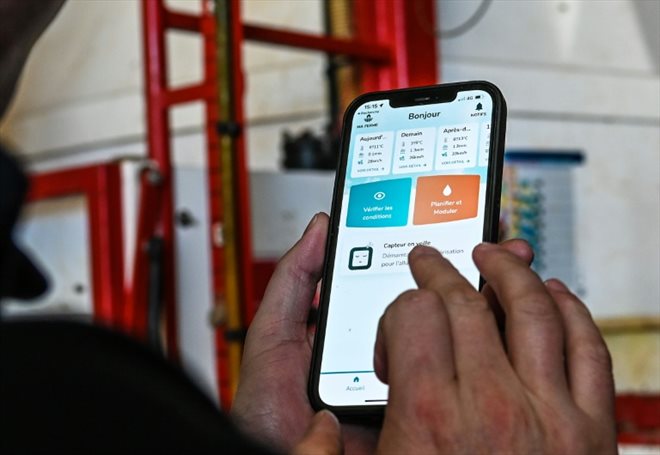 L'agriculteur Christophe Ryckabusch utilise sur son smartphone l'application Hygo, développée par la start-up Alvie, dans sa ferme de Zegerscappel, dans les Flandres
