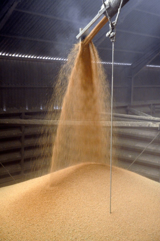 Un silo à grain est rempli avec du blé fraichement récolté, le 10 août 2013 à Saint-Germain-D'Arcé, dans la Sarthe
