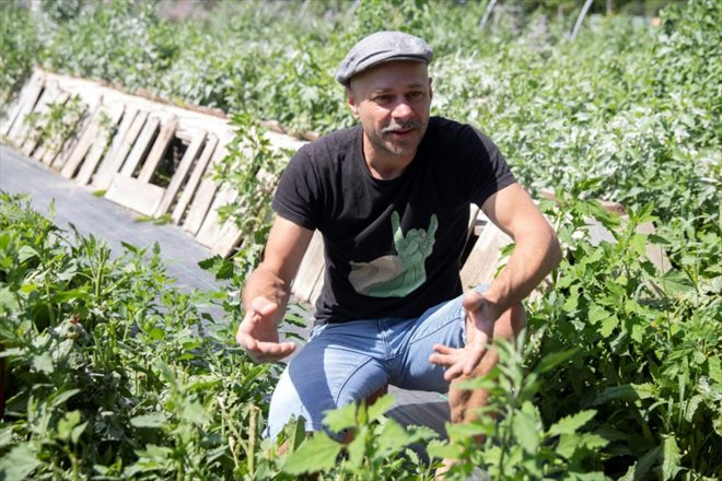 Le fermier Andreas Gugumuck dans son exploitation Wiener Schnecken, le 18 juin 2022 à Vienne, en Autriche